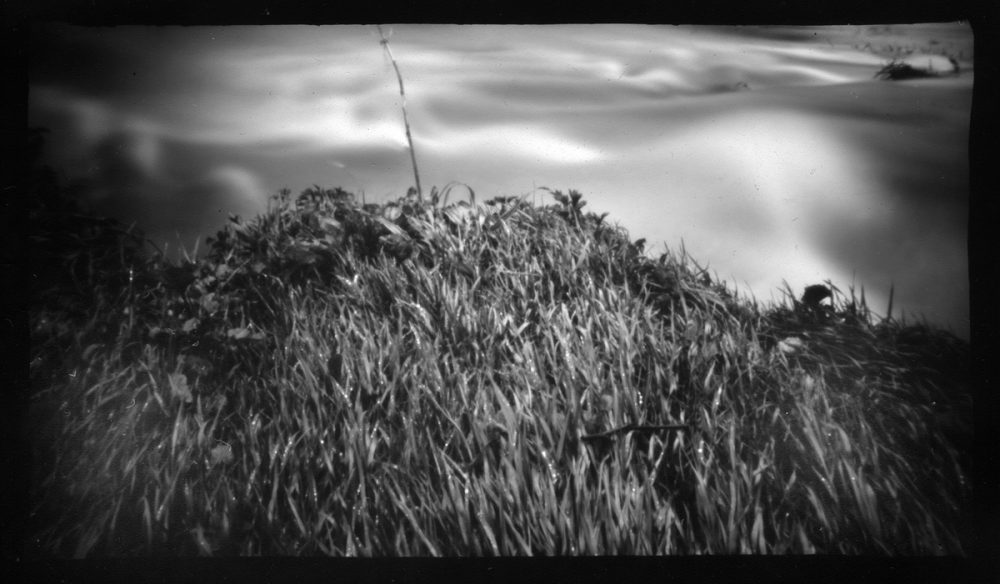 Water-combed grass - pinhole photograph